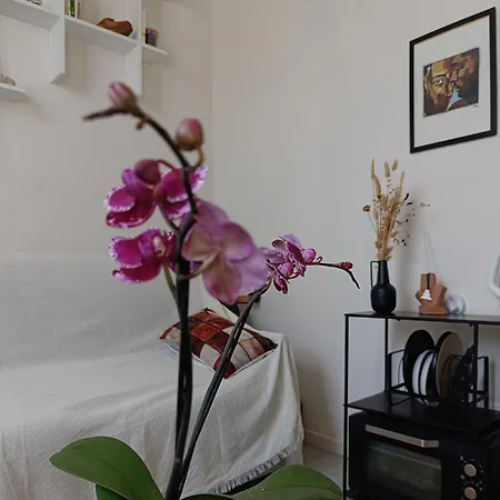 公寓 Doux Cocoon Moderne A Quelques Marches De Montmartre